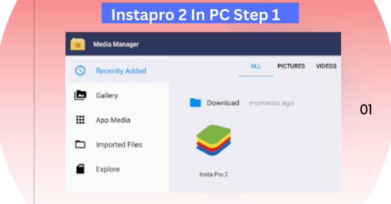 Instapro 2